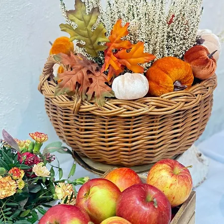 Village de vacances Centrum